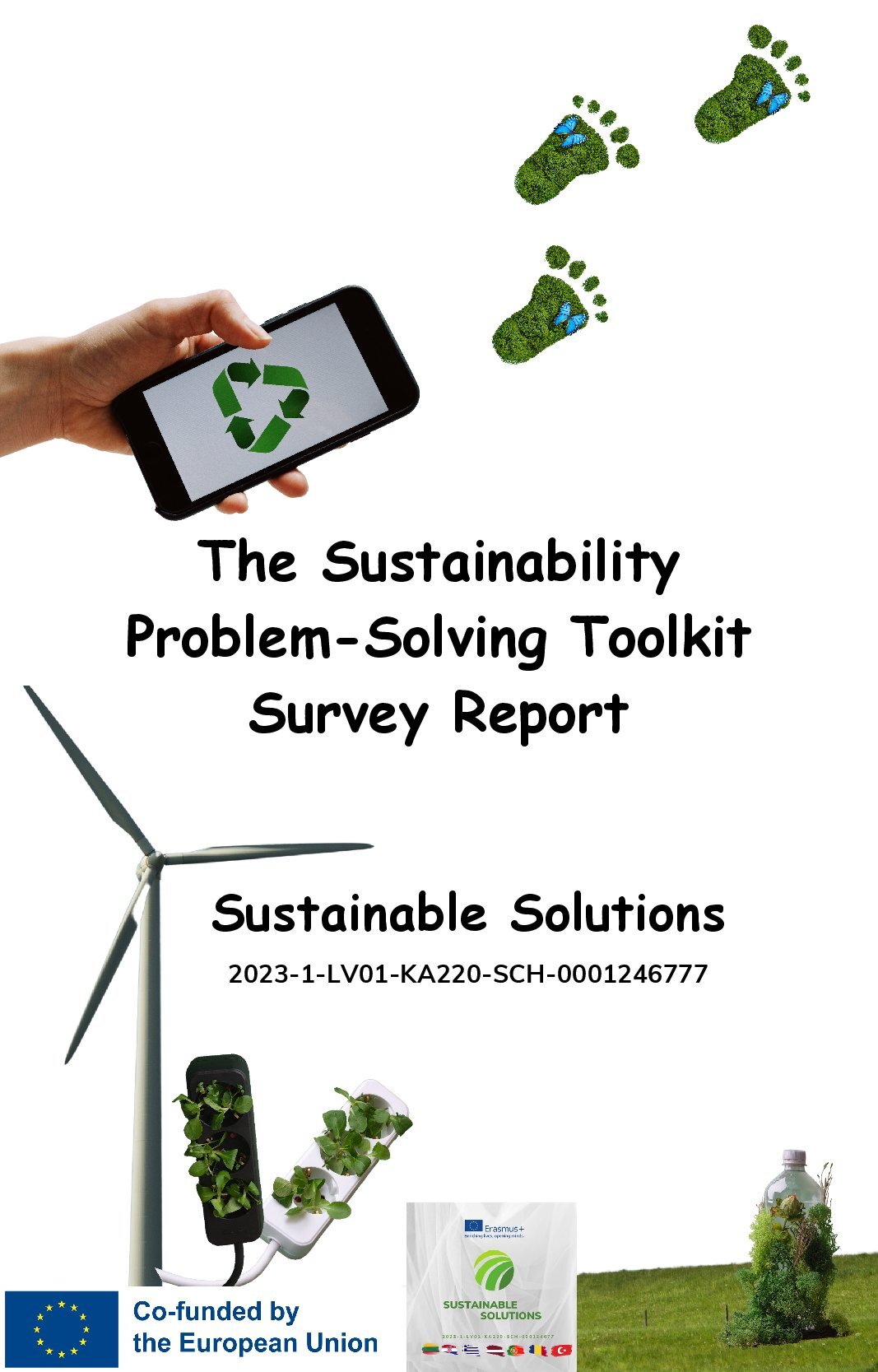 The Sustainability Problem-Solving Toolkit Survey Report cover image