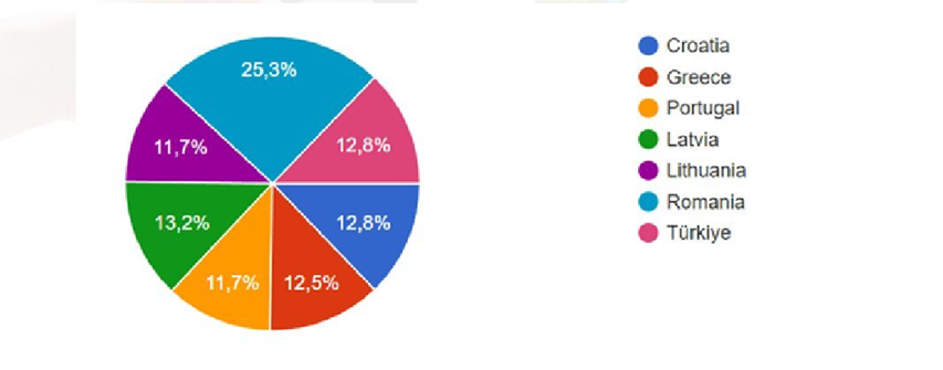 Participants by country pie chart